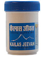 Мазь-бальзам Кайлаш Дживан /Kailas Jeevan, 120 гр