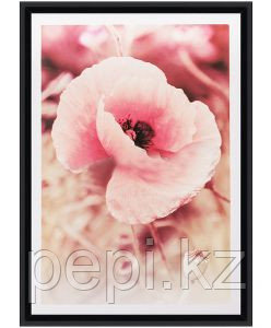 Рамка Pioneer А4 Черный, фото 1