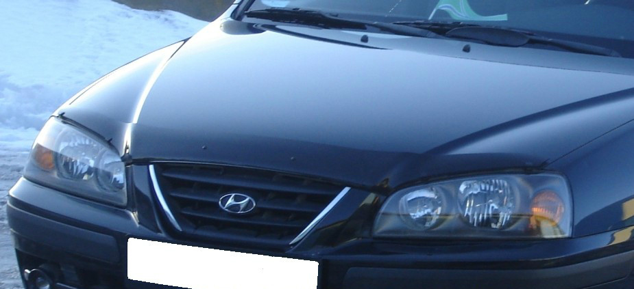 Мухобойка (дефлектор капота) EGR Hyundai Elantra 2004-2006