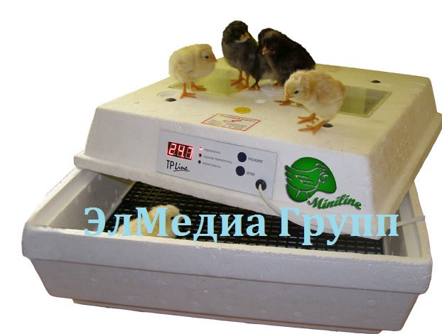 Инкубаторы автоматические на складе