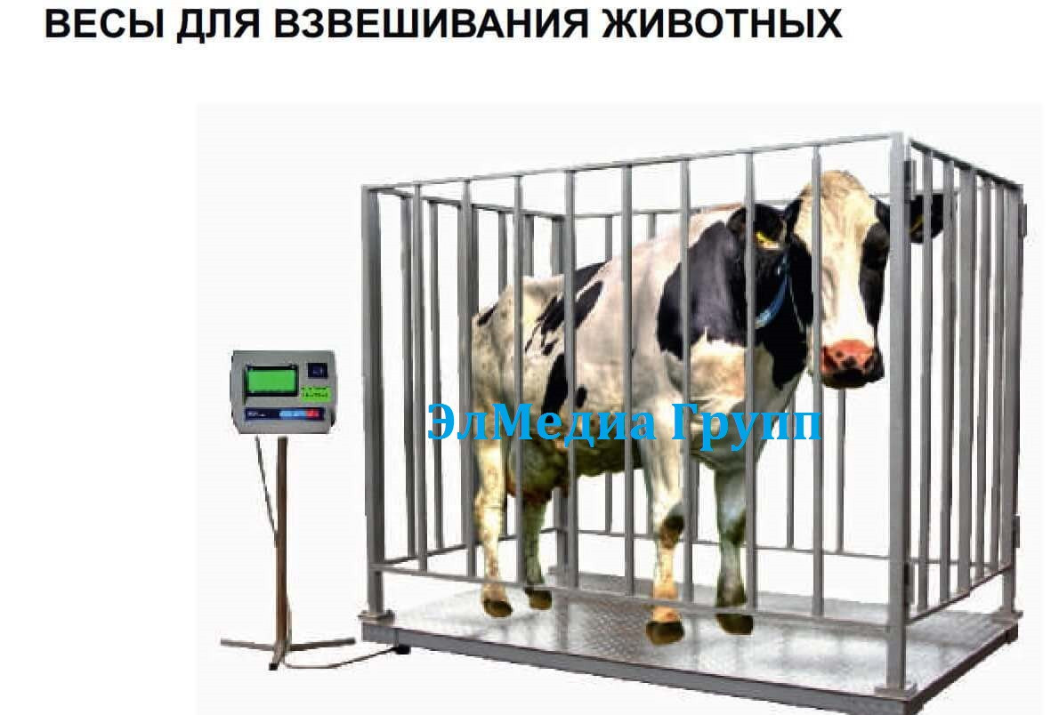 Весы для взвешивания животных электронные