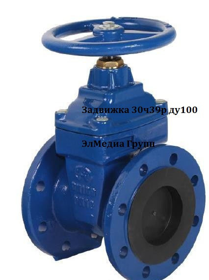 Задвижка 30ч39р ду100