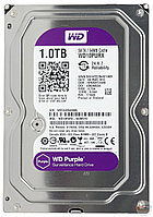 Жесткий диск HDD 1000Gb Purple Western Digital