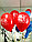 Воздушные шары "8 марта", фото 3
