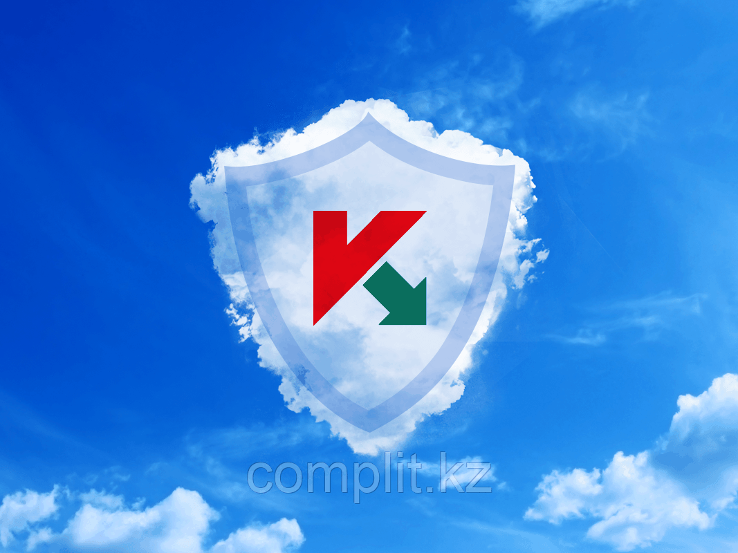 Kaspersky Private Security Network