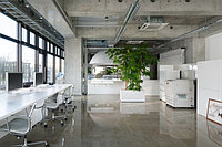Организация рабочего пространства Open Space