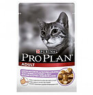 PRO PLAN ADULT, Про План Адалт, для кошек кусочки с индейкой в желе, пауч 85 гр.