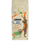 Cat Chow Adult Chicken&Turkey, Кэт Чау корм для кошек с курицей и индейкой, уп.400гр.