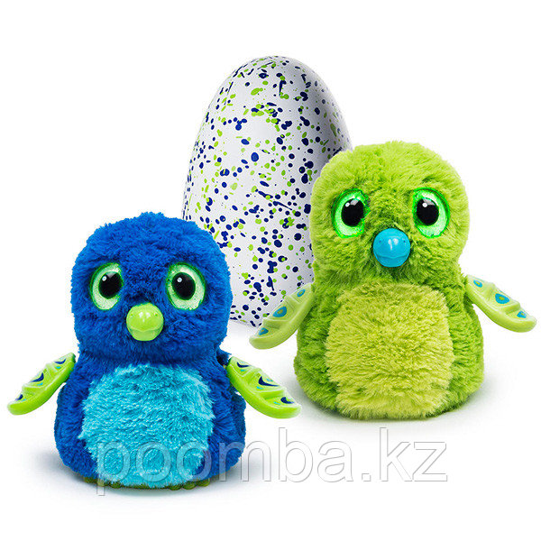Интерактивная игрушка Hatchimals - Дракоша, зеленый / голубой
