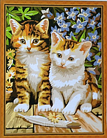 Картины по номерам 30х40 см "Котята" 2338909 Картины по номерам 30х40 см "Котята"