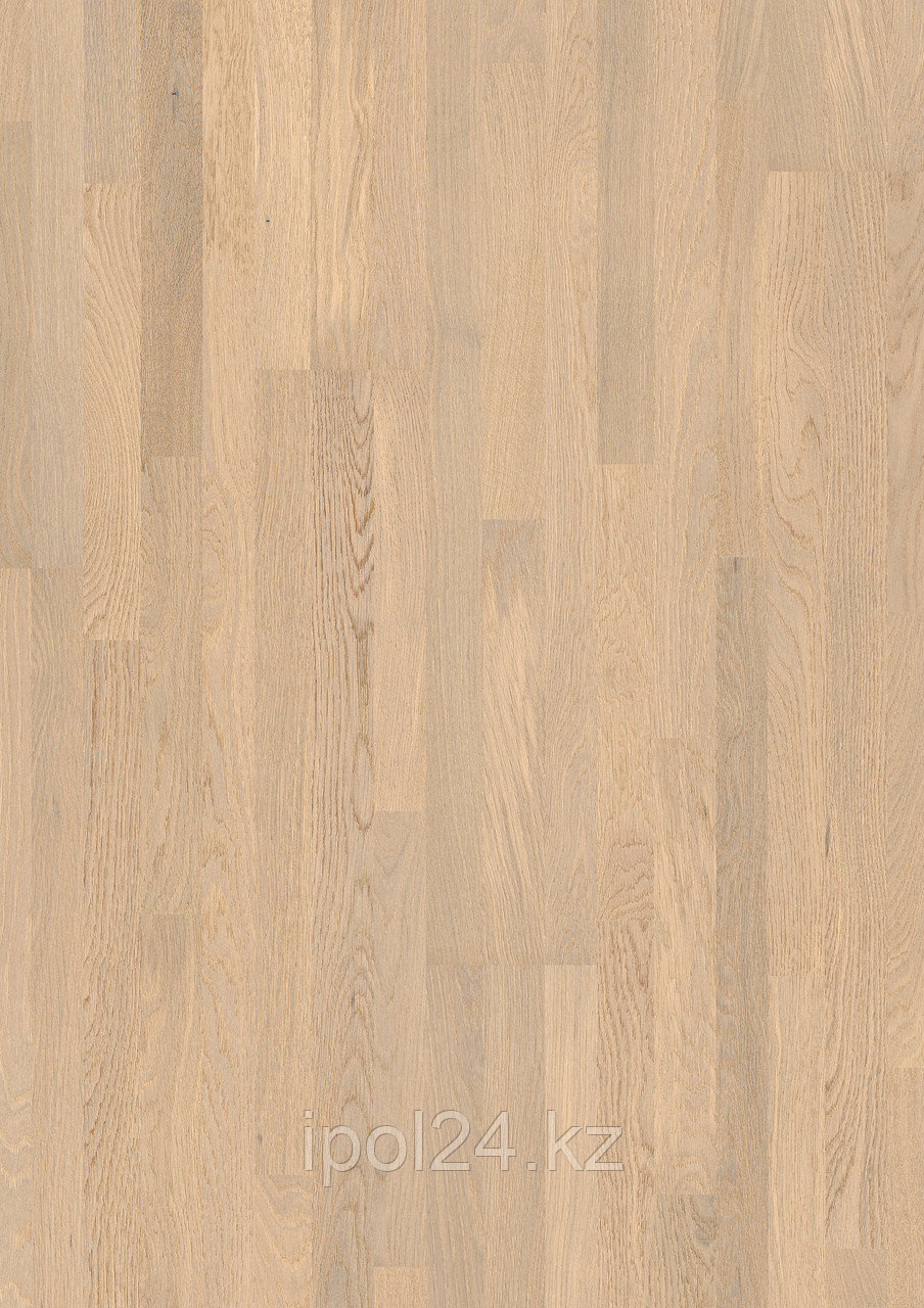 Паркетная доска Quick-Step Villa №1359L Дуб полярный матовый