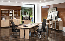 Мебель для руководителя