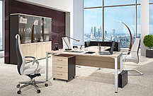 Стол рабочий Начальника