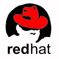 Red Hat Enterprise Linux Server, Standard (Physical or Virtual Nodes) 1 Year