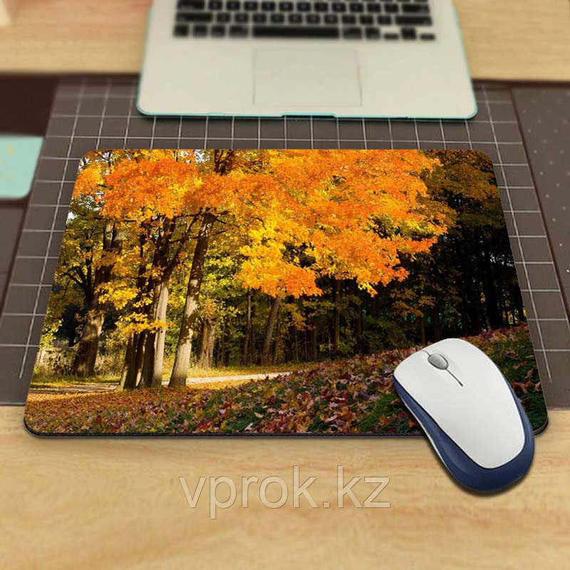 Коврик для мышки "Pad for Mouse с изображением "Осенний лес",Dimensions:300mm x 250mm x 3mm" - фото 1 - id-p38624359