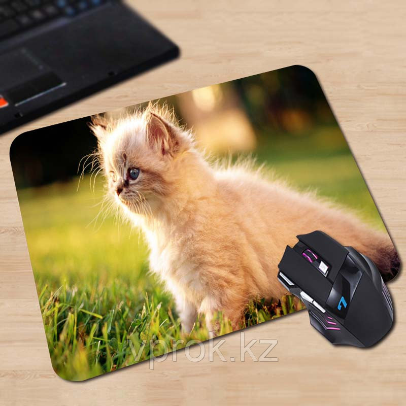 Коврик для мышки "Pad for Mouse с изображением "Пушистый котенок в цветах",Dimensions:300mm x 250mm x 3mm" - фото 1 - id-p38624508