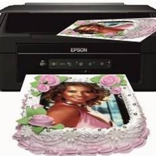 Принтер для пищевых чернил. Принтер epson l132. Принтер пищевой canon pro wifi cake. Принтер для пищевых чернил. Принтер для кондитерской печати.