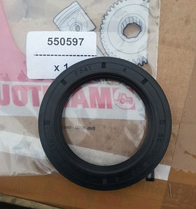 550597 Сальник Manitou