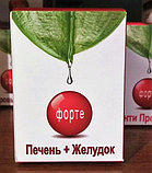 ПЕЧЕНЬ+ЖЕЛУДОК, капсулы № 60, фото 2