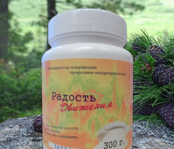 Питание кедровое РАДОСТЬ ДВИЖЕНИЯ 300 г (Кедровый мир)