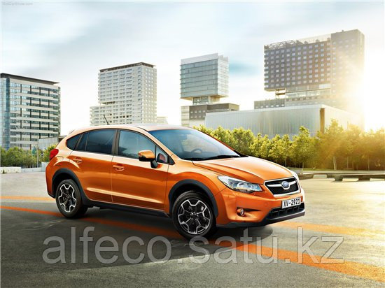 Защита картера Subaru XV 2012-