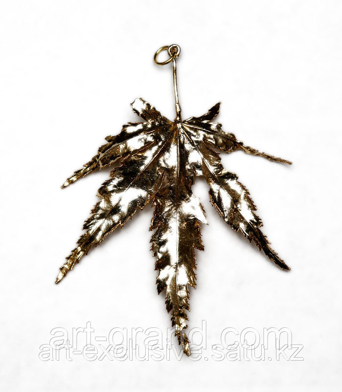 Листок японский клен, фото 1