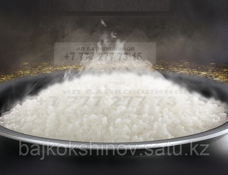 Рисовая пароварка 6000-9000Ватт - фото 4 - id-p39079352