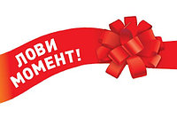 Новогодние акции от бренда Ring Automotive и Optimate!