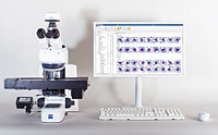 Система: Оптимальное решение для небольших и средних лабораторий Vision Hema® Pro