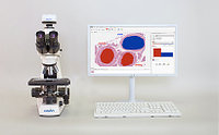 Анализ, подготовка отчетов и ведение цифровых альбомов в микроскопии Vision Bio® Analyze