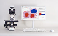 Анализ, подготовка отчетов и ведение цифровых альбомов в микроскопии Vision Bio® Analyze Pro