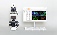 Анализ, подготовка отчетов и организация виртуальных препаратов в флуоресцентной микроскопии Vision Bio® Epi