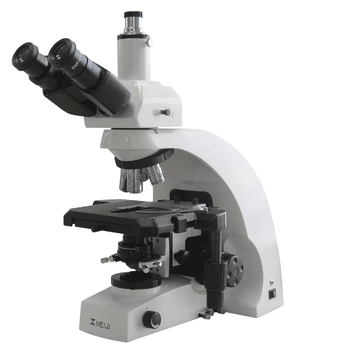 Биологический микроскоп MT6000