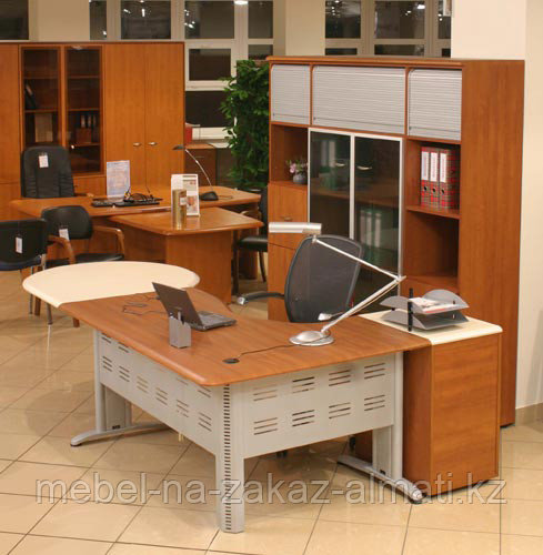 Мебель во офис по индивидуальному проекту на заказ в Алматы - фото 2 - id-p943782