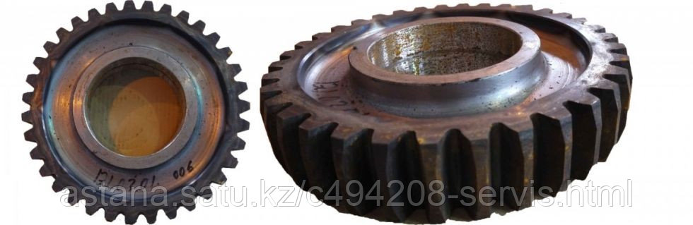 Шестерня балансира А-120 паразитная А121.03.01.006, фото 1