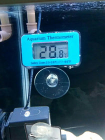 Термометр для ванны аквариума и холодильных витрин