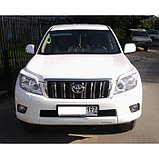 Реснички Toyota Prado150 2009-12 бел.жемч. (UNCLE Тайвань), фото 4