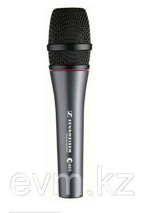 Микрофон Sennheiser e865 - фото 1 - id-p39776914