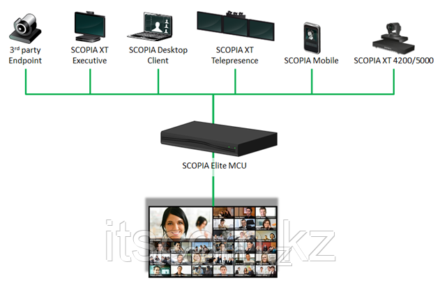 Avaya Radvision Scopia Elite 6120 - 720p30 double capacity license - фото 3 - id-p2245528