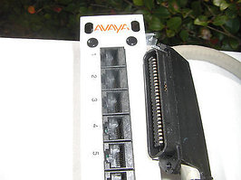 Avaya 24 Port 110 Punch CAT 5 Patch Panel