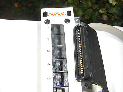 Avaya 24 Port 110 Punch CAT 5 Patch Panel - фото 1 - id-p2212903