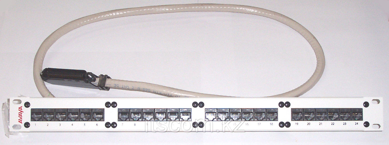 Avaya 24 Port 110 Punch CAT 5 Patch Panel - фото 5 - id-p2212903