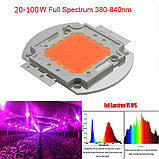 Фито светодиод BridgeLux 30W полного спектра, фото 5