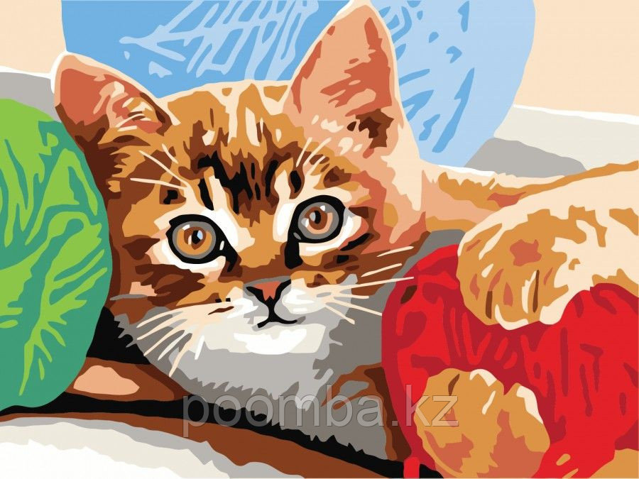 Картина по номерам"Котенок с клубком" 30*40