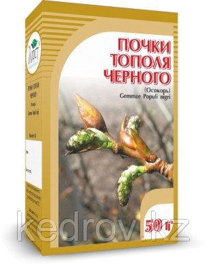 Почки тополя черного 50гр.