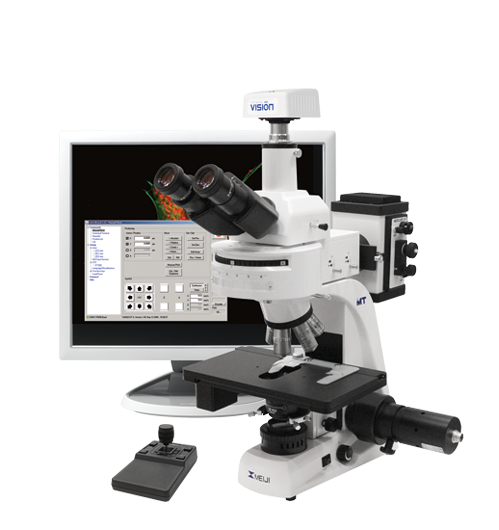 Моторизованный флуоресцентный микроскоп- МТ6000 (M)