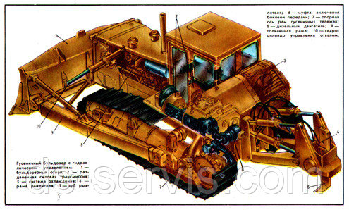 Сальник к/вала ПД 1.2-55х80-1