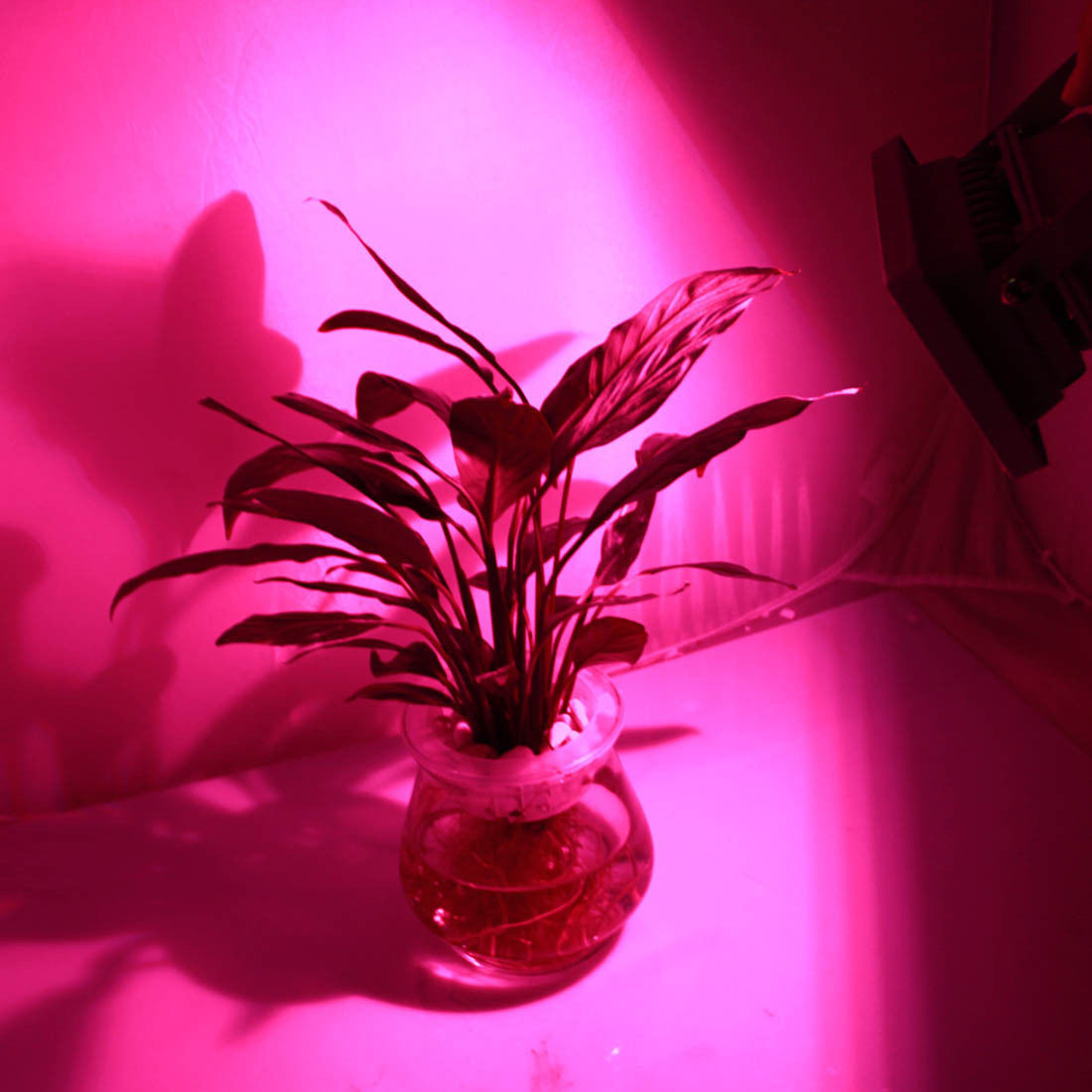 Фитолампа светодиодная досветка для рассады и комнатных растений - фото 6 - id-p20028377