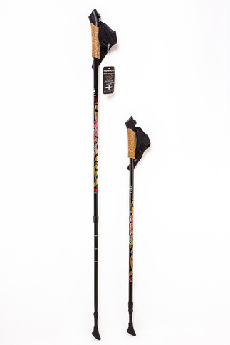 Карбоновые палки для скандинавской ходьбы Finpole Nova 30% (черно-золотой, Финляндия) - фото 1 - id-p28721417