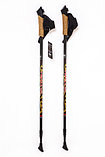 Карбоновые палки для скандинавской ходьбы Finpole Nova 30% (черно-золотой, Финляндия), фото 2